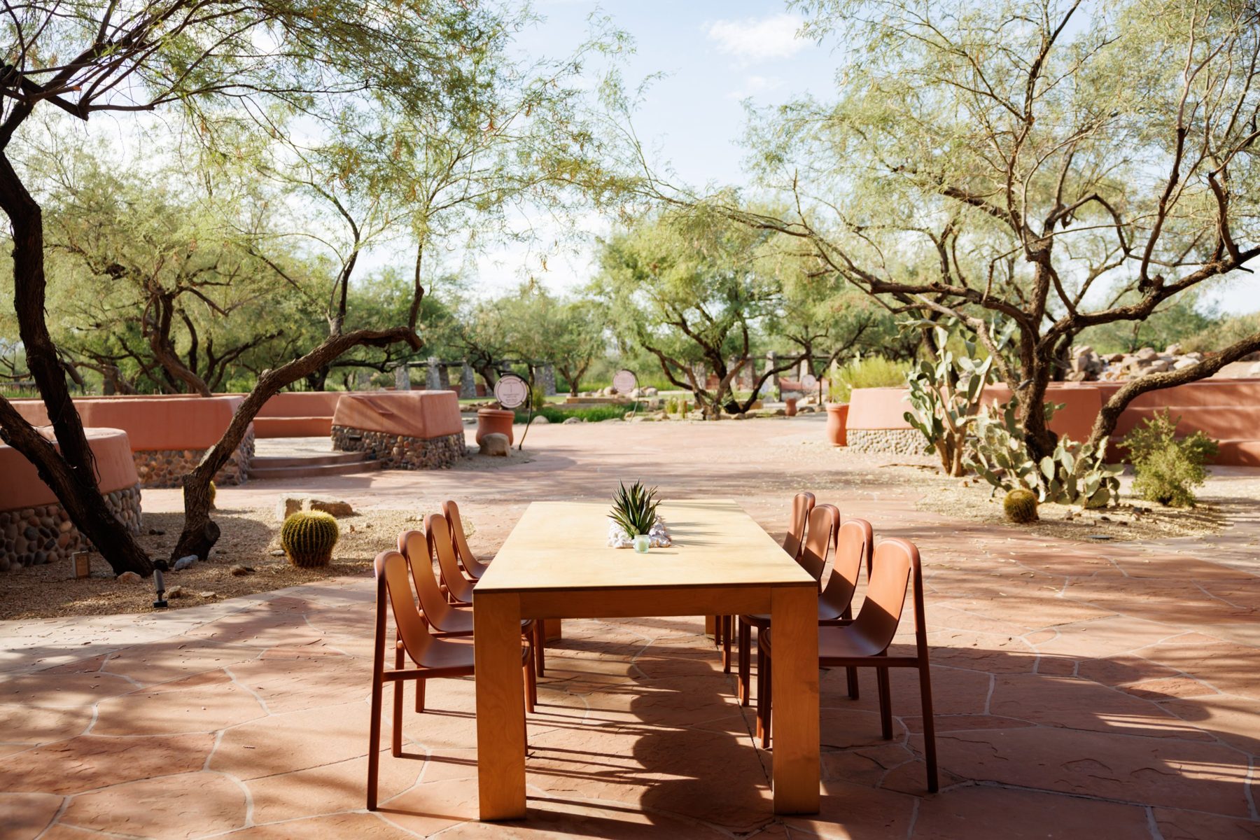 Outdoor dining table among desert trees and cacti